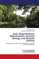 God, Magnetotactic Mitochondria, Quantal Biology and Quantal Healing