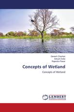 Concepts of Wetland