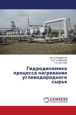Гидродинамика процесса нагревания углеводородного сырья