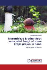 Mycorrhizae & other Root associated Fungi of some Crops grown in Kano