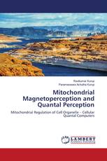 Mitochondrial Magnetoperception and Quantal Perception