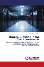 Intrusion Detection in Big Data Environment