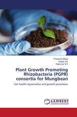 Plant Growth Promoting Rhizobacteria (PGPR) consortia for Mungbean