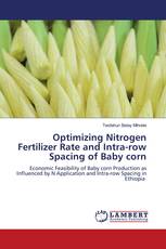 Optimizing Nitrogen Fertilizer Rate and Intra-row Spacing of Baby corn