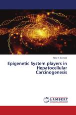 Epigenetic System players in Hepatocellular Carcinogenesis