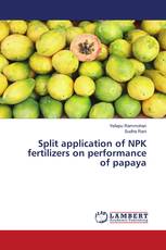 Split application of NPK fertilizers on performance of papaya