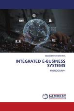 INTEGRATED E-BUSINESS SYSTEMS
