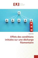 Effets des conditions initiales sur une décharge filamentaire