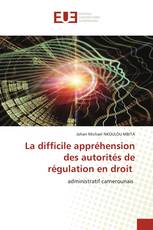 La difficile appréhension des autorités de régulation en droit