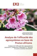 Analyse de l’efficacité des agrosystèmes en base de Prunus africana