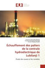 Échauffement des paliers de la centrale hydroélectrique de Lubilanji 1