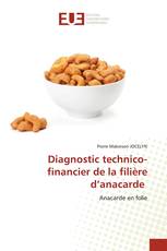 Diagnostic technico-financier de la filière d’anacarde