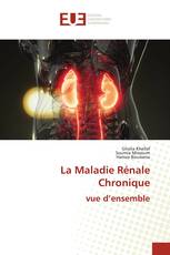 La Maladie Rénale Chronique vue d’ensemble