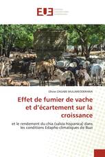 Effet de fumier de vache et d’écartement sur la croissance