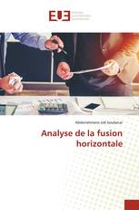 Analyse de la fusion horizontale