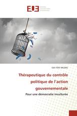 Thérapeutique du contrôle politique de l’action gouvernementale