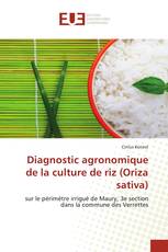 Diagnostic agronomique de la culture de riz (Oriza sativa)