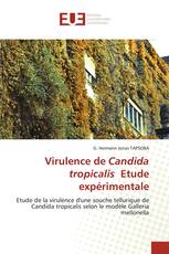 Virulence de Candida tropicalis Etude expérimentale