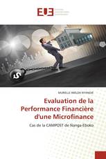 Evaluation de la Performance Financière d'une Microfinance