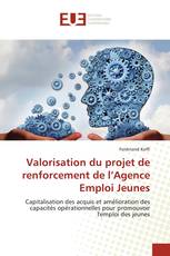 Valorisation du projet de renforcement de l’Agence Emploi Jeunes