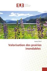 Valorisation des prairies inondables