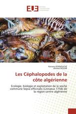 Les Céphalopodes de la côte algérienne