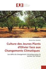 Culture des Jeunes Plants d'Olivier face aux Changements Climatiques