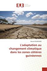 L'adaptation au changement climatique dans les zones côtières guinéennes