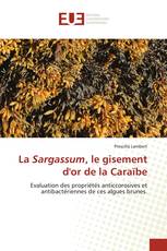 La Sargassum, le gisement d'or de la Caraïbe