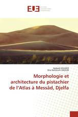 Morphologie et architecture du pistachier de l’Atlas à Messâd, Djelfa