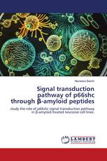 Signal transduction pathway of p66shc through β-amyloid peptides