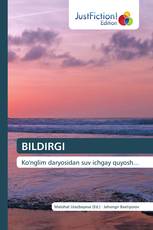 BILDIRGI