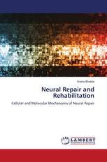 Neural Repair and Rehabilitation