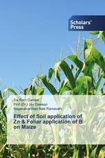 Effect of Soil application of Zn & Foliar application of B on Maize