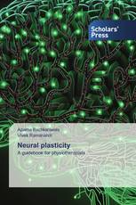 Neural plasticity