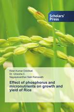 Effect of phosphorus and micronutrients on growth and yield of Rice