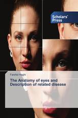 The Anatomy of eyes and Description of related disease