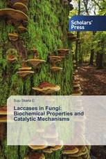 Laccases in Fungi: Biochemical Properties and Catalytic Mechanisms