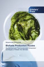 Biofuels Production Routes