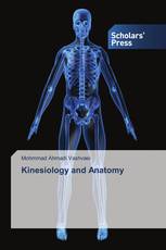 Kinesiology and Anatomy