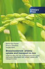 Brassinosteroid: arsenic uptake and transport in rice