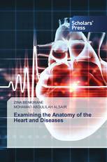 Examining the Anatomy of the Heart and Diseases