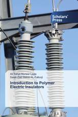 Introduction to Polymer Electric Insulators