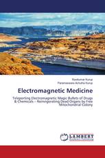 Electromagnetic Medicine