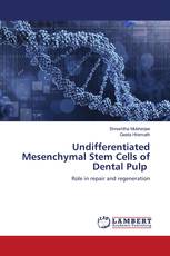 Undifferentiated Mesenchymal Stem Cells of Dental Pulp