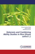 Heterosis and Combining Ability Studies in Rice (Oryza sativa L.)