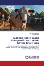A phage lysate based therapeutic vaccine for bovine Brucellosis