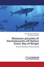 Metazoan parasites of Elasmobranchs off Nellore Coast, Bay of Bengal