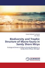 Biodiversity and Trophic Structure of Macro-fauna in Sandy Shore Mirya