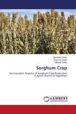 Sorghum Crop